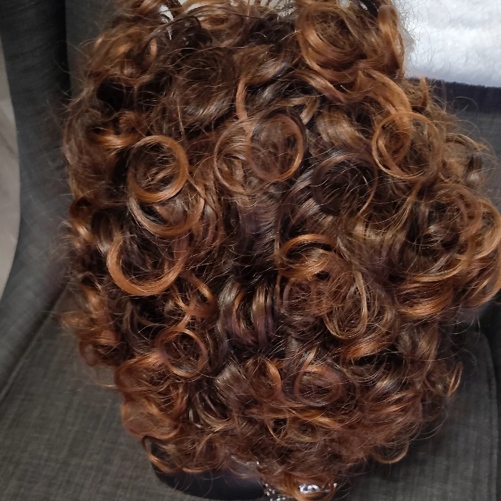 🆕Curly Mixed Golden Brown& Blk Fashion Wig NIP